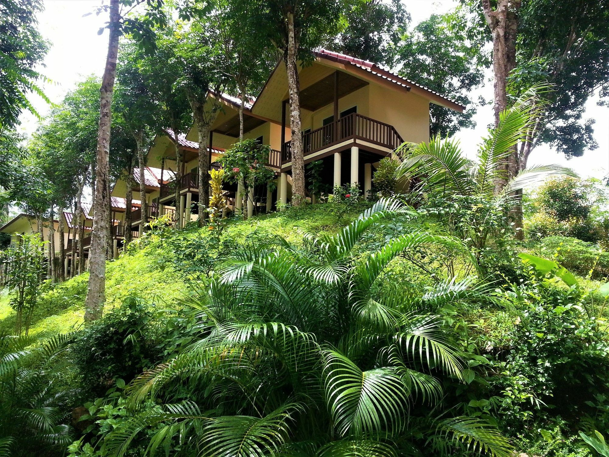 Khao Sok River Home Resort Khao Sok National Park Exterior foto
